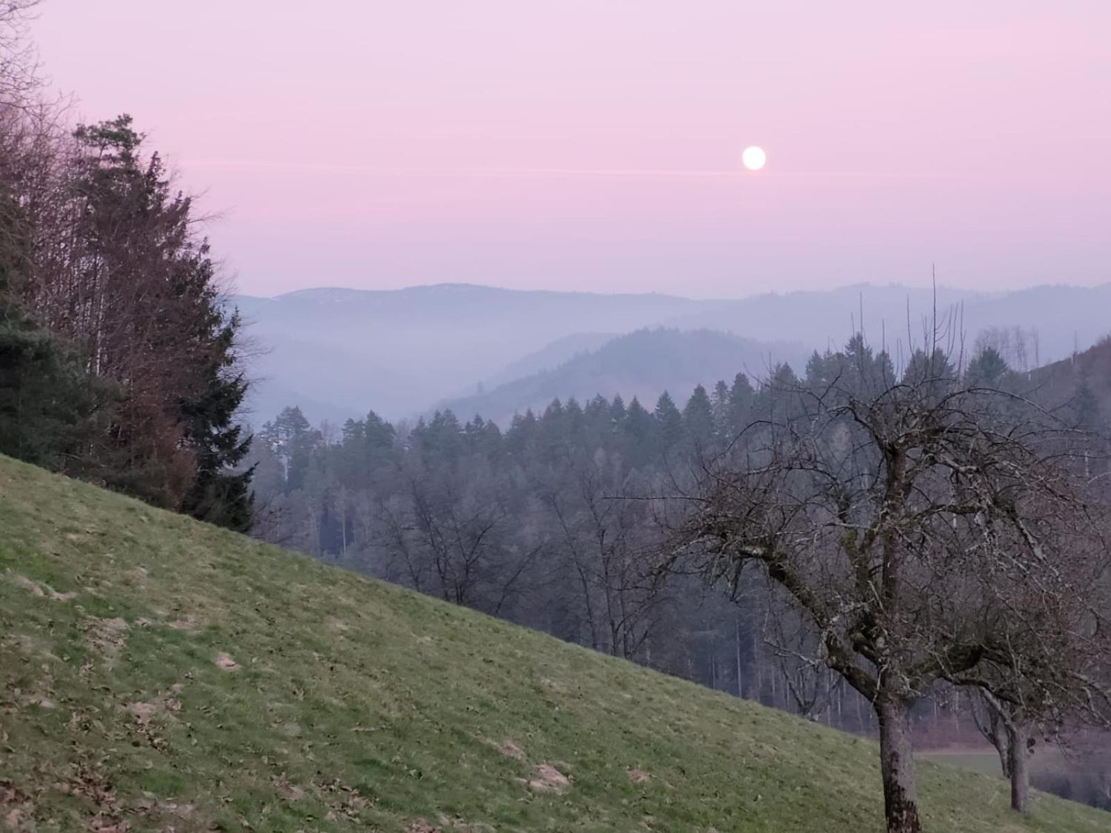 Am Boulevard Gengenbach Exteriör bild